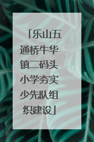 乐山五通桥牛华镇二码头小学夯实少先队组织建设