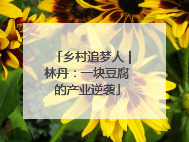 乡村追梦人｜林丹：一块豆腐的产业逆袭