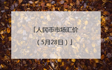 人民币市场汇价（5月28日）