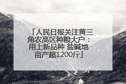 人民日报关注黄三角农高区种粮大户：用上新品种 盐碱地亩产超1200斤
