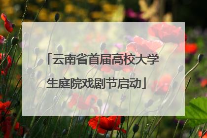 云南省首届高校大学生庭院戏剧节启动