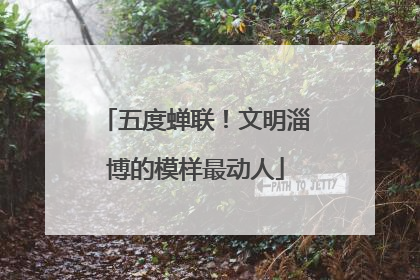 五度蝉联！文明淄博的模样最动人