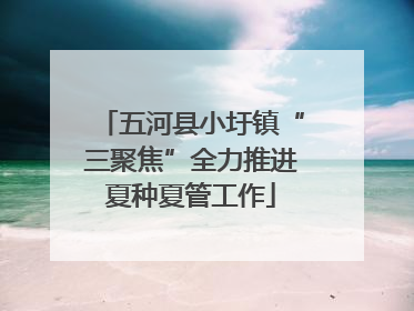 五河县小圩镇“三聚焦”全力推进夏种夏管工作