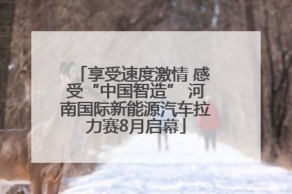 享受速度激情 感受“中国智造” 河南国际新能源汽车拉力赛8月启幕