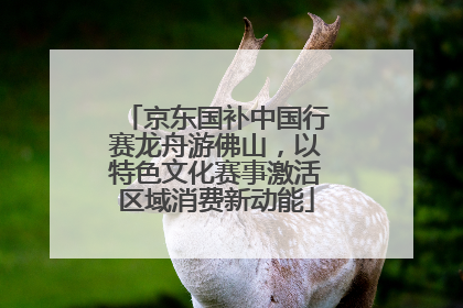 京东国补中国行赛龙舟游佛山，以特色文化赛事激活区域消费新动能