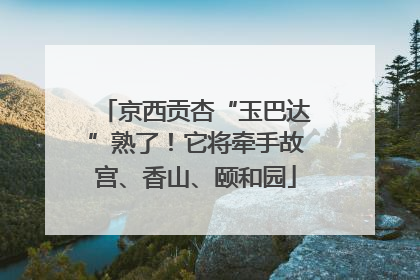 京西贡杏“玉巴达”熟了！它将牵手故宫、香山、颐和园