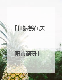 任振鹤在庆阳市调研