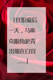 任职最后一天，马斯克眼角淤青出现在白宫……