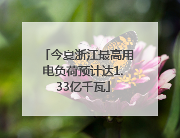 今夏浙江最高用电负荷预计达1.33亿千瓦