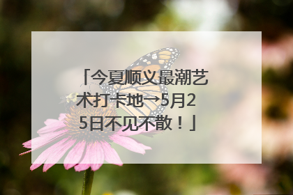 今夏顺义最潮艺术打卡地→5月25日不见不散！