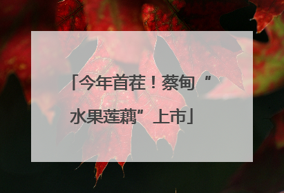 今年首茬！蔡甸“水果莲藕”上市