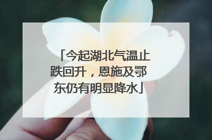 今起湖北气温止跌回升，恩施及鄂东仍有明显降水