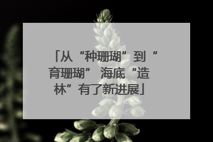 从“种珊瑚”到“育珊瑚” 海底“造林”有了新进展