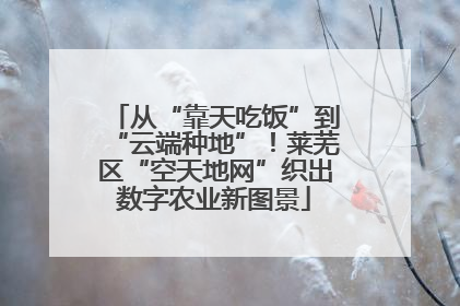 从“靠天吃饭”到“云端种地”！莱芜区“空天地网”织出数字农业新图景