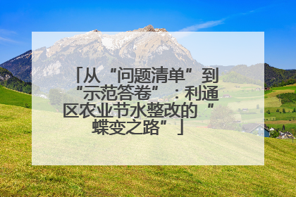 从“问题清单”到“示范答卷”：利通区农业节水整改的“蝶变之路”