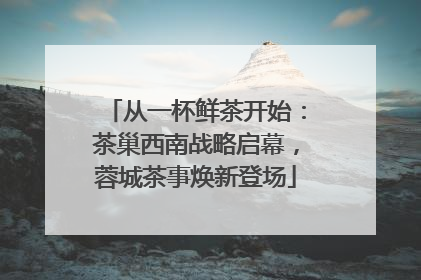 从一杯鲜茶开始：茶巢西南战略启幕，蓉城茶事焕新登场