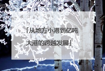 从地方小港到亿吨大港的跨越发展