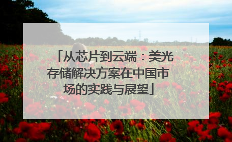 从芯片到云端：美光存储解决方案在中国市场的实践与展望