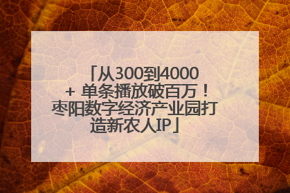 从300到4000+ 单条播放破百万！枣阳数字经济产业园打造新农人IP