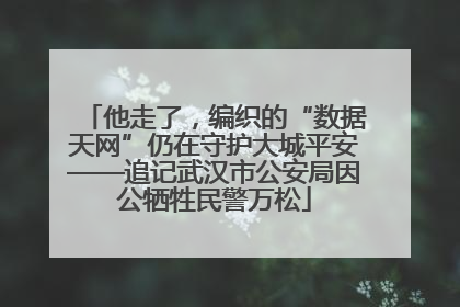 他走了，编织的“数据天网”仍在守护大城平安——追记武汉市公安局因公牺牲民警万松