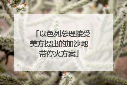 以色列总理接受美方提出的加沙地带停火方案