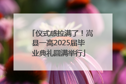 仪式感拉满了！嵩县一高2025届毕业典礼圆满举行