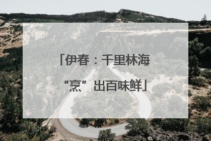 伊春：千里林海“烹”出百味鲜