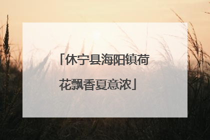 休宁县海阳镇荷花飘香夏意浓