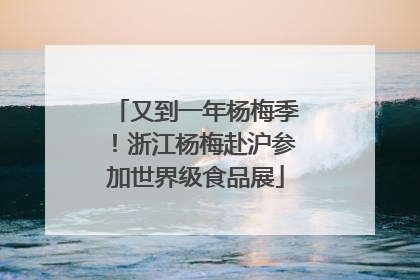 又到一年杨梅季！浙江杨梅赴沪参加世界级食品展