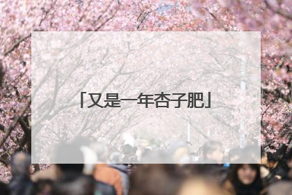 又是一年杏子肥