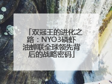 双冠王的进化之路：NYO3磷虾油蝉联全球领先背后的战略密码