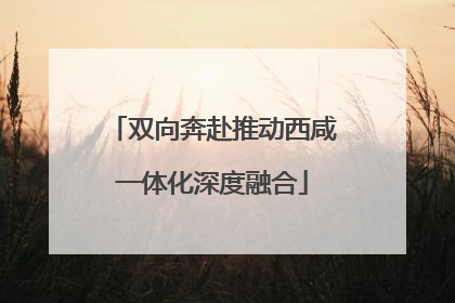 双向奔赴推动西咸一体化深度融合
