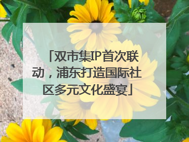 双市集IP首次联动，浦东打造国际社区多元文化盛宴