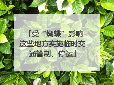 受“蝴蝶”影响 这些地方实施临时交通管制、停运