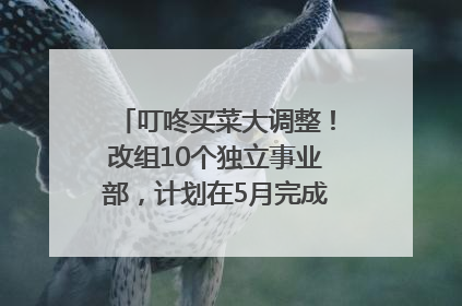 叮咚买菜大调整！改组10个独立事业部，计划在5月完成App端全面改版