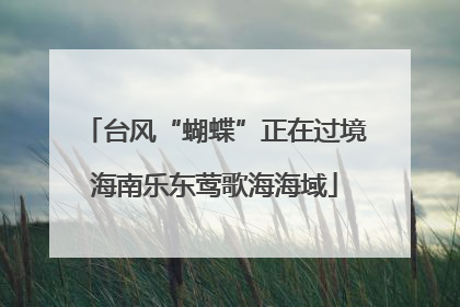 台风“蝴蝶”正在过境海南乐东莺歌海海域