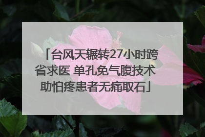 台风天辗转27小时跨省求医 单孔免气腹技术助怕疼患者无痛取石