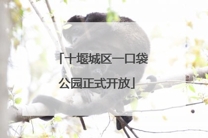 十堰城区一口袋公园正式开放