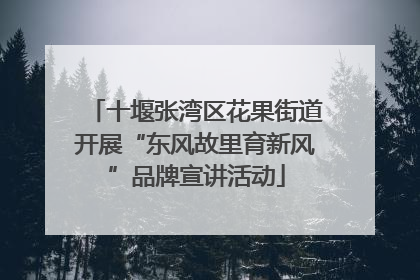 十堰张湾区花果街道开展“东风故里育新风”品牌宣讲活动
