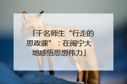 千名师生“行走的思政课”：在闽宁大地感悟思想伟力
