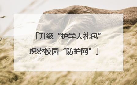 升级“护学大礼包”织密校园“防护网”