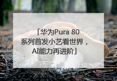 华为Pura 80系列首发小艺看世界，AI能力再进阶