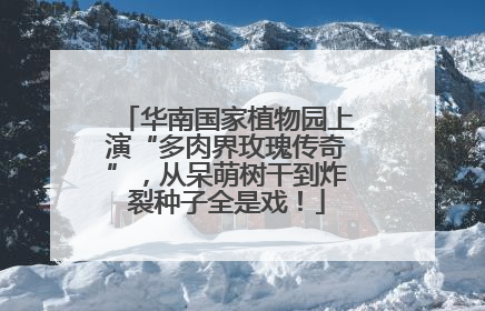 华南国家植物园上演“多肉界玫瑰传奇”，从呆萌树干到炸裂种子全是戏！