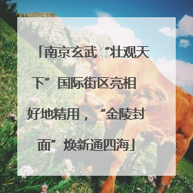 南京玄武“壮观天下”国际街区亮相 好地精用，“金陵封面”焕新通四海