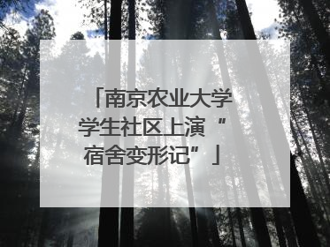 南京农业大学学生社区上演“宿舍变形记”