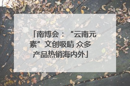 南博会：“云南元素”文创吸睛 众多产品热销海内外