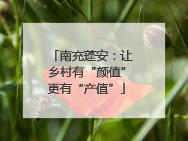 南充蓬安：让乡村有“颜值”更有“产值”
