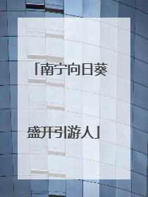 南宁向日葵盛开引游人