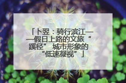 卜翌：骑行滨江——假日上路的文旅“蹊径” 城市形象的“低速凝视”
