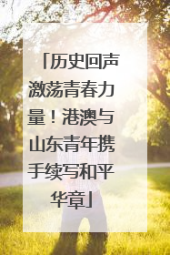 历史回声激荡青春力量！港澳与山东青年携手续写和平华章